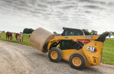 Cat D3 series