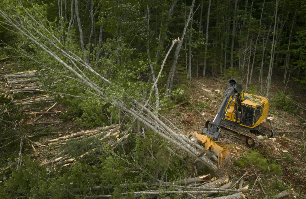 Tigercat 845E feller buncher