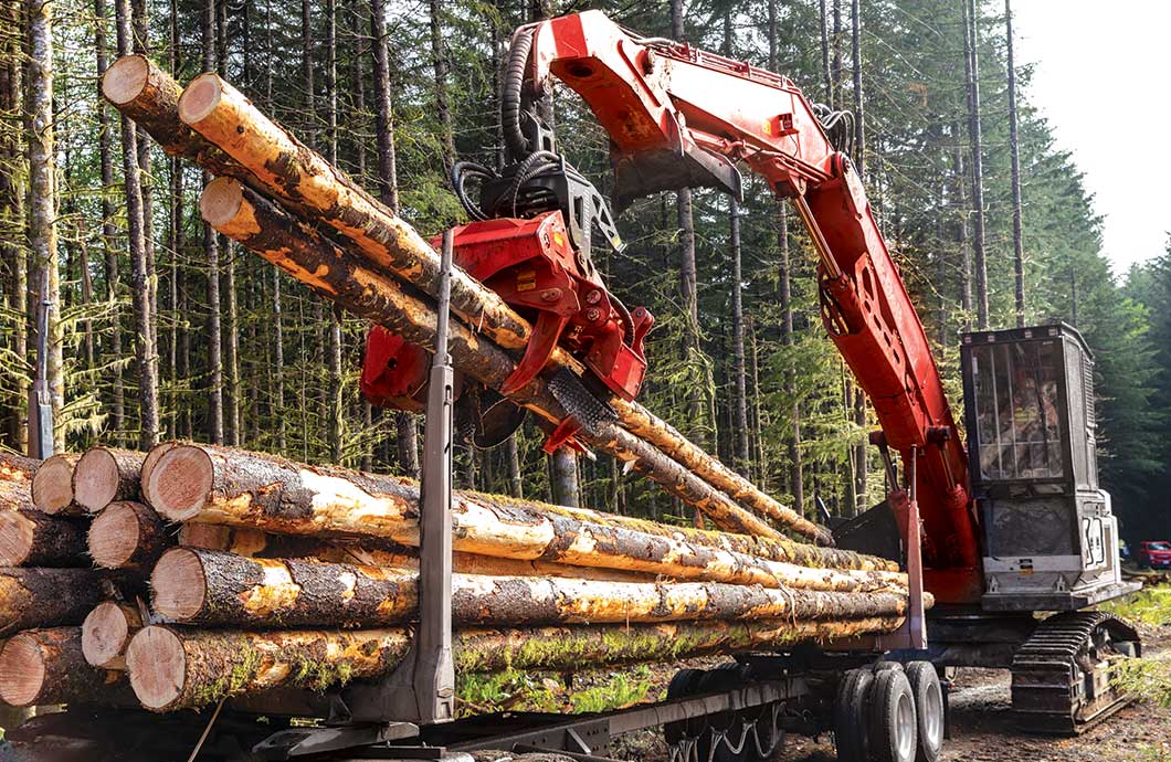 Waratah Forestry Equipment’s New HTH624C 4x4 LP Delivers Efficient Processing And Log Manipulation